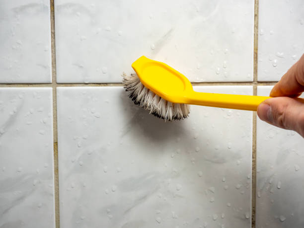 Best Mold Testing  in Texarkana, TX