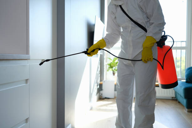 Best Mold Testing and Removal  in Texarkana, TX