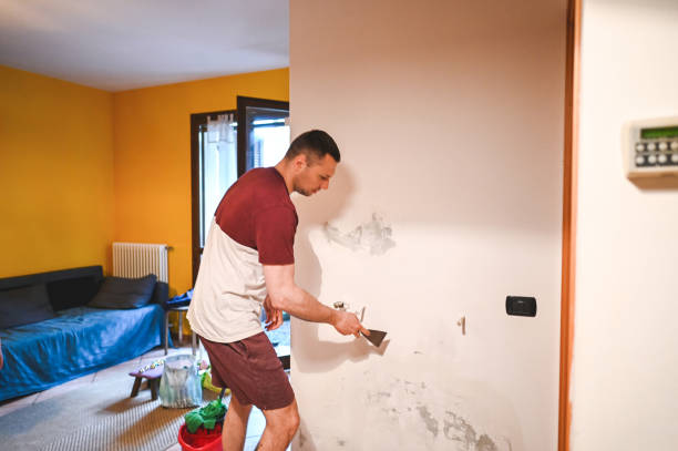 Best Mold Removal Company Near Me  in Texarkana, TX
